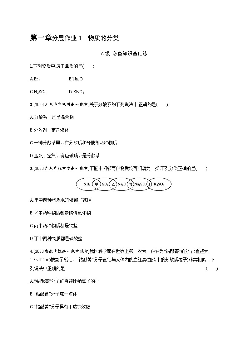 人教B版高中化学必修第一册第1章物质及其变化第1节第1课时物质的分类习题含答案第1页