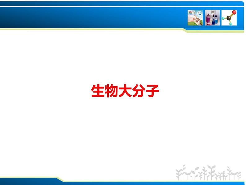 2024届高三化学第一轮复习：9.8.1生物大分子合成高分子1课件PPT01