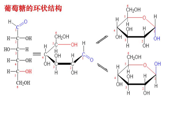 2024届高三化学第一轮复习：9.8.1生物大分子合成高分子1课件PPT06