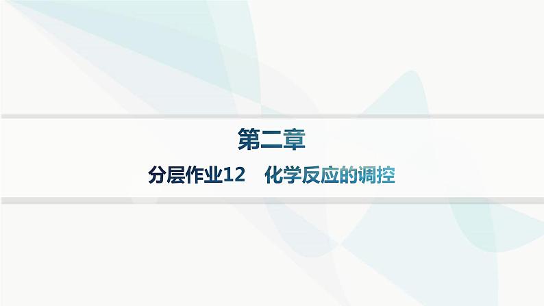 人教版高中化学选择性必修1第2章分层作业12化学反应的调控课件01