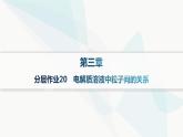 人教版高中化學(xué)選擇性必修1第3章分層作業(yè)20電解質(zhì)溶液中粒子間的關(guān)系課件