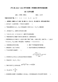 2023合肥庐江县高二下学期期末教学质量抽测化学试题含答案