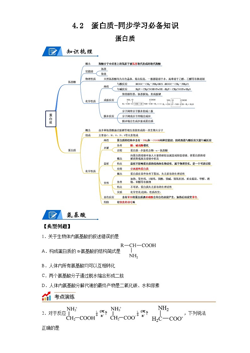 【思维导图】人教版高中化学选修三《4.2蛋白质》同步学习思维导图+学练（解析版）第1页