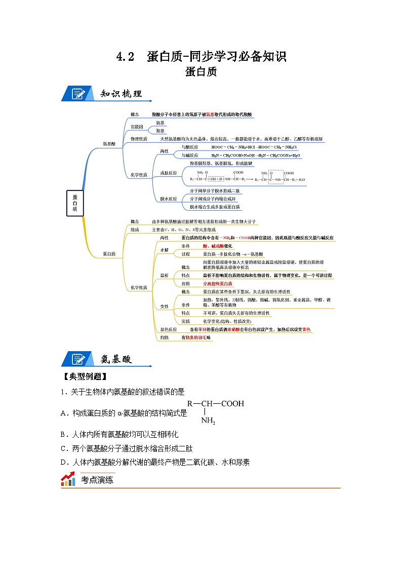 【思维导图】人教版高中化学选修三《4.2蛋白质》同步学习思维导图+学练（学生版）第1页