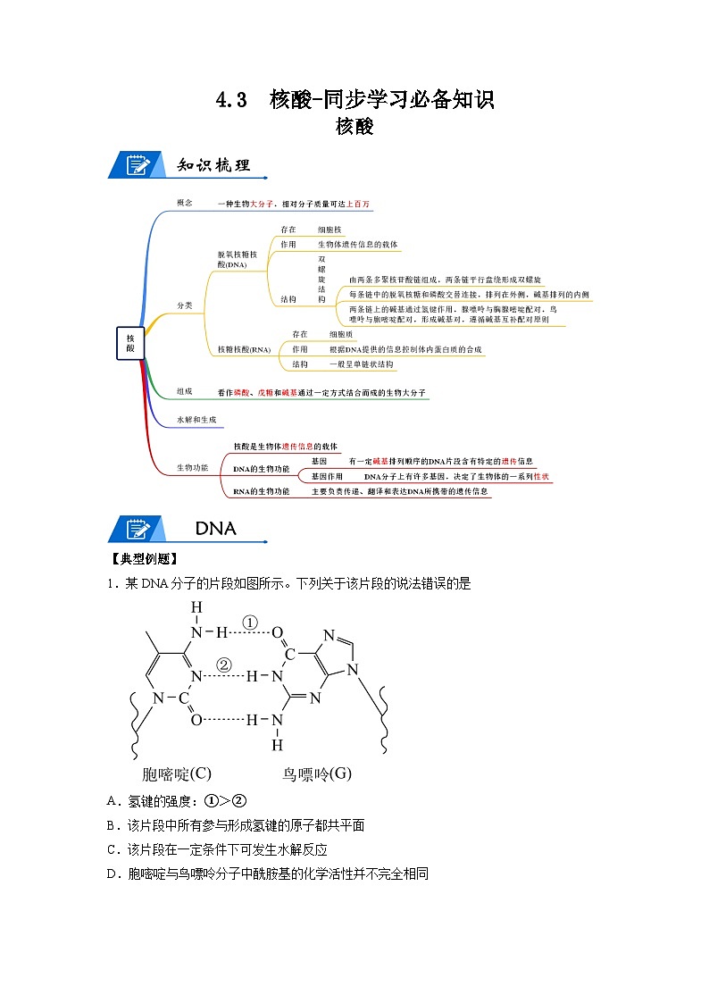 【思维导图】人教版高中化学选修三《4.3核酸》同步学习思维导图+学练01