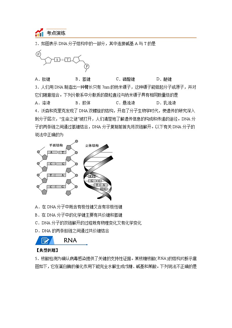 【思维导图】人教版高中化学选修三《4.3核酸》同步学习思维导图+学练02