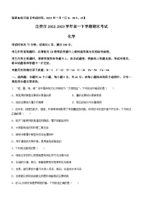 四川省自贡市2022-2023学年高一下学期期末考试化学试题(无答案)