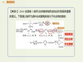 高考化学一轮复习考点备考课件专题十考点指导1有机合成路线综合分析 (含解析)