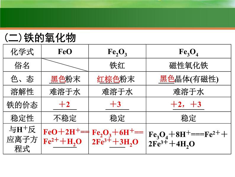 高考化学一轮复习课件9 铁及其化合物（含解析）第5页