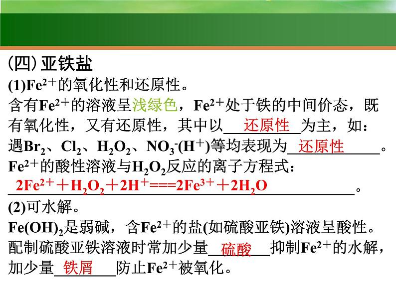 高考化学一轮复习课件9 铁及其化合物（含解析）第7页