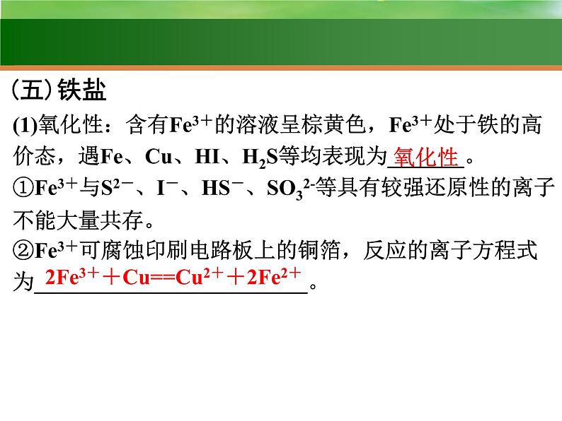 高考化学一轮复习课件9 铁及其化合物（含解析）第8页