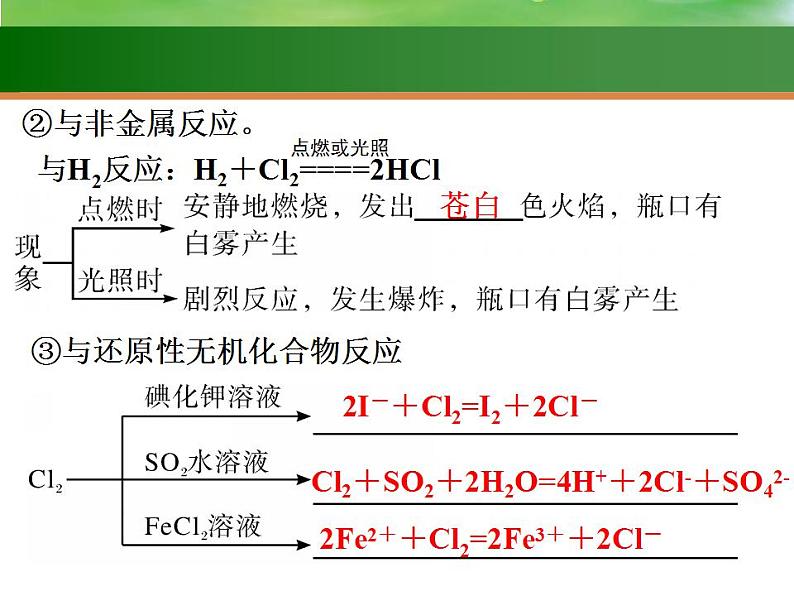 高考化学一轮复习课件12 富集在海水中的元素  氯（含解析）第5页