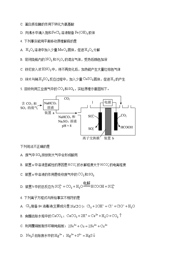 2023年北京市新高考化学真题（含答案）第2页