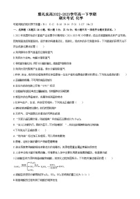 湖南省长沙市雅礼实高2022-2023学年高一下学期期末考试化学试题（Word版含答案）