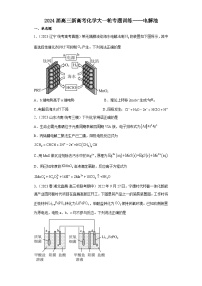 2024届高三新高考化学大一轮专题训练----电解池