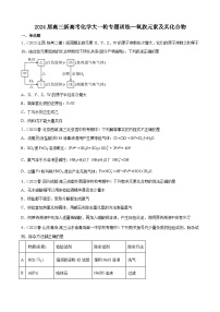 2024届高三新高考化学大一轮专题训练--氧族元素及其化合物