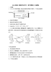 2024届高三新高考化学大一轮专题练习-电解池