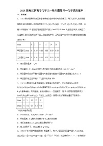 2024届高三新高考化学大一轮专题练习--化学反应速率