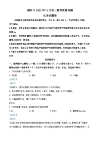 浙江省湖州市2023届高三化学上学期11月质量检测试题（Word版附解析）