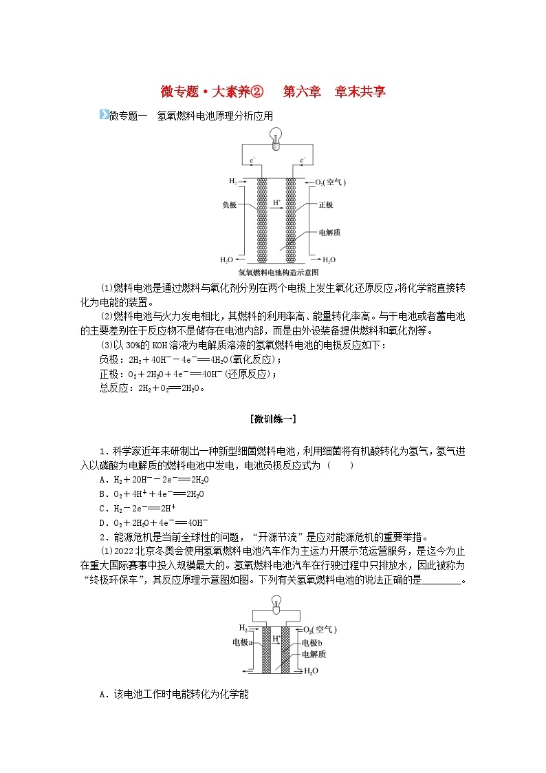 新教材2023版高中化学微专题大素养2第六章化学反应与能量学案新人教版必修第二册01