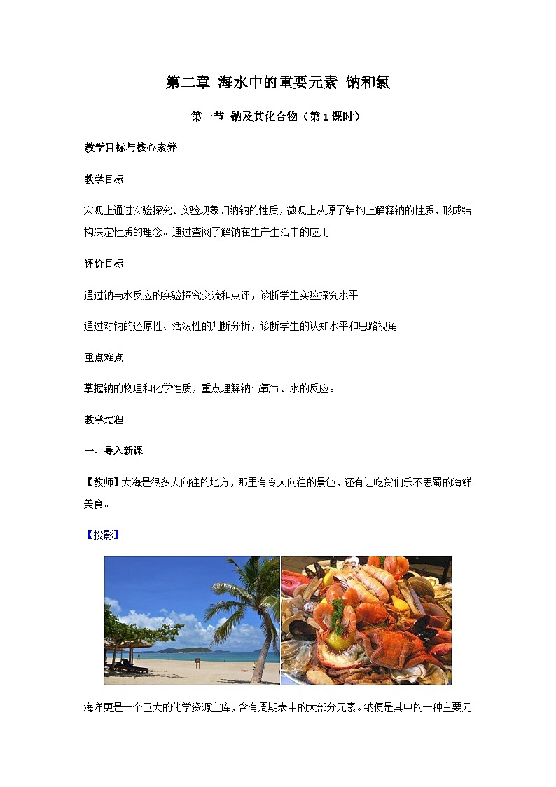 高中化学人教版（2019）必修第一册 2.1钠及其化合物第1课时教案第1页