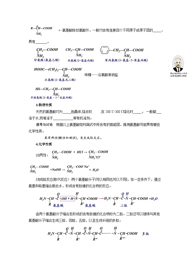 高二化学人教版（2019）选择性必修3   4.2 蛋白质 教案（共一课时）02