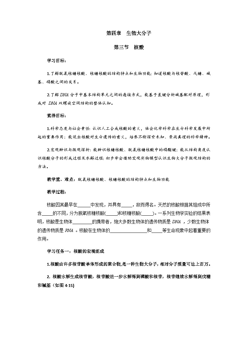 高二化学人教版（2019）选择性必修3   4.3  核酸  教案（共一课时）01