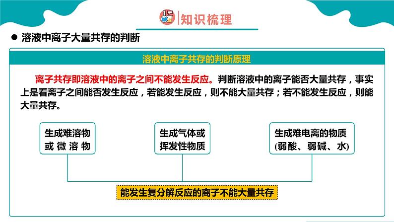 第二节 离子反应 第3课时（课件）高一化学（人教版2019必修第一册）第8页