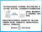 新人教版化学选择性必修一 2.2.1 化学平衡状态 （课件+教案+练习）