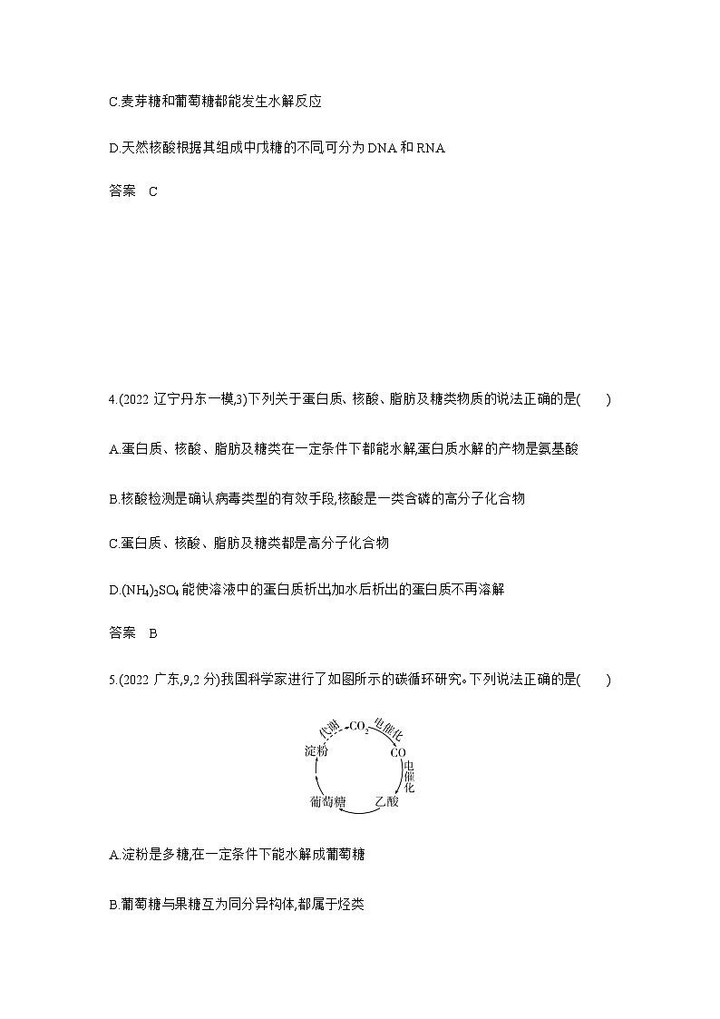2024届人教版高考化学一轮复习专题十五生物大分子有机合成作业含答案02