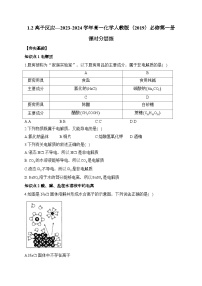 高中化学人教版 (2019)必修 第一册第二节 离子反应当堂检测题