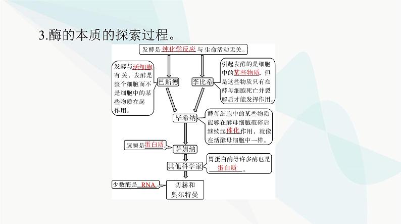 2024年高考生物一轮复习必修1第5章第1、2节降低化学反应活化能的酶、细胞的能量“货币”ATP课件第8页