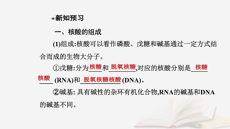 新教材2023高中化学第四章生物大分子第三节核酸课件新人教版选择性必修3第3页