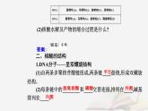 新教材2023高中化学第四章生物大分子第三节核酸课件新人教版选择性必修3
