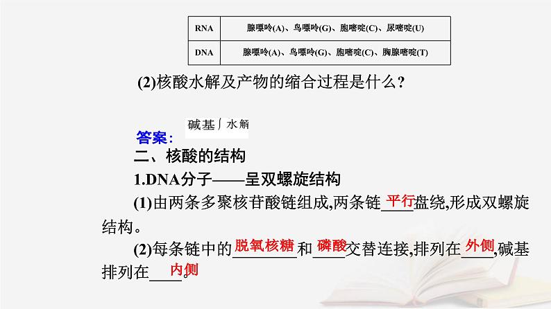 新教材2023高中化学第四章生物大分子第三节核酸课件新人教版选择性必修3第4页