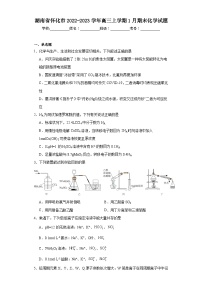 湖南省怀化市2022-2023学年高三上学期1月期末化学试题