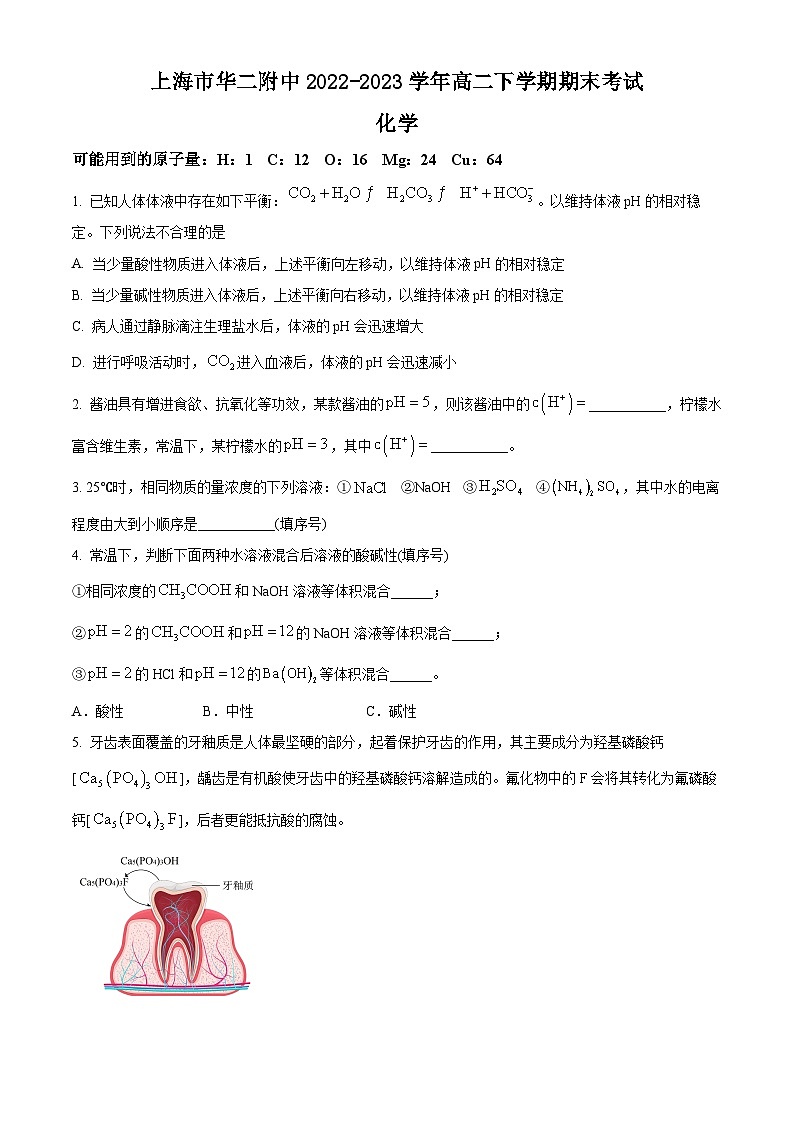 上海市华二附中2022-2023学年高二下学期期末考试化学试题（含解析）第1页