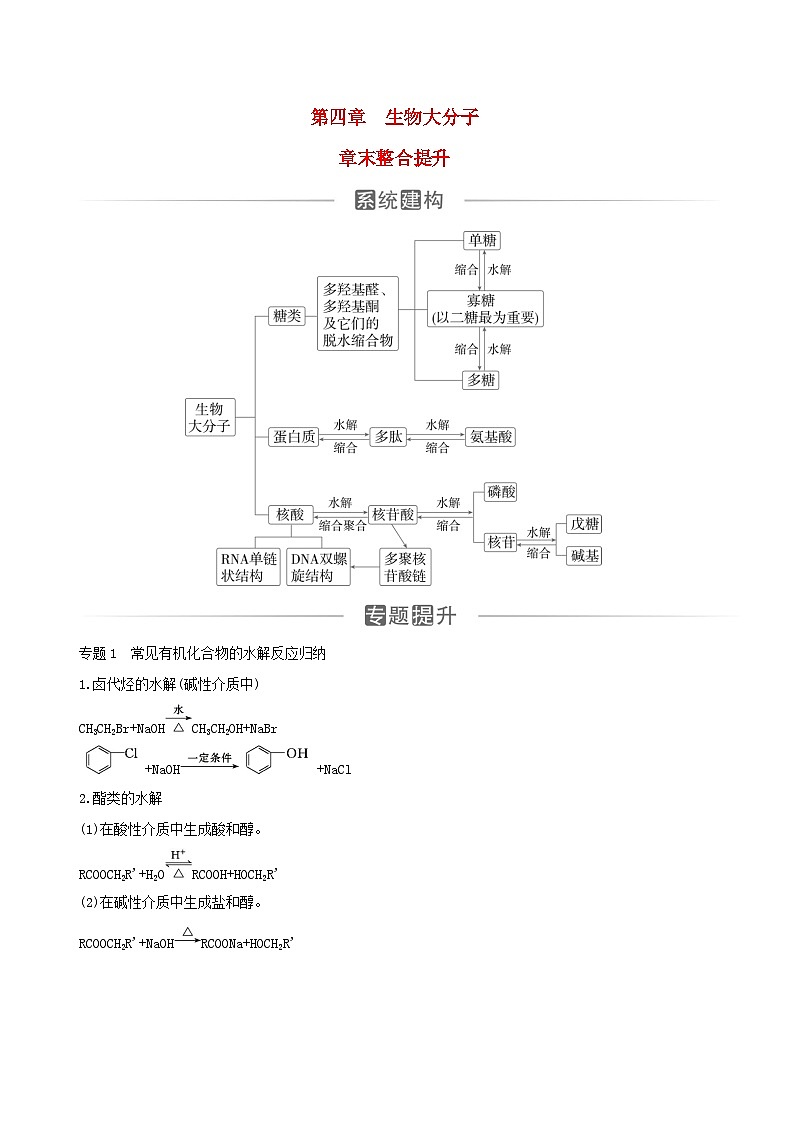 新教材2023高中化学第四章生物大分子章末整合提升新人教版选择性必修3第1页
