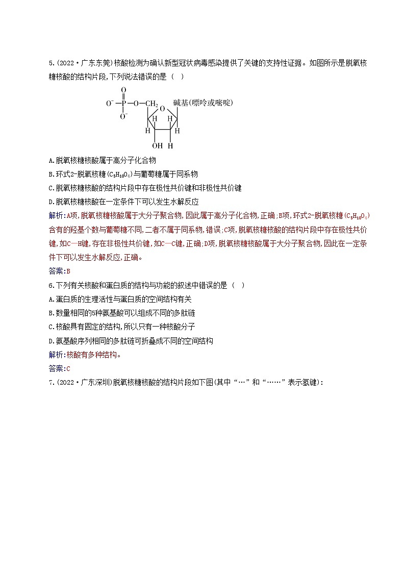 新教材2023高中化学第四章生物大分子第三节核酸同步测试新人教版选择性必修302