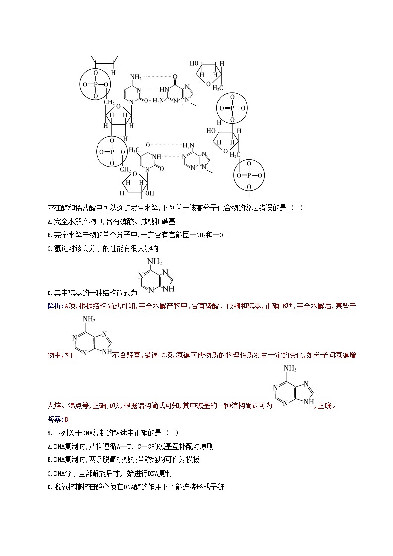 新教材2023高中化学第四章生物大分子第三节核酸同步测试新人教版选择性必修303