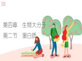 高中化学选修三有机化学基础课件（人教版）4.2 蛋白质