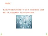 高中化学选修三有机化学基础课件（人教版）4.2 蛋白质