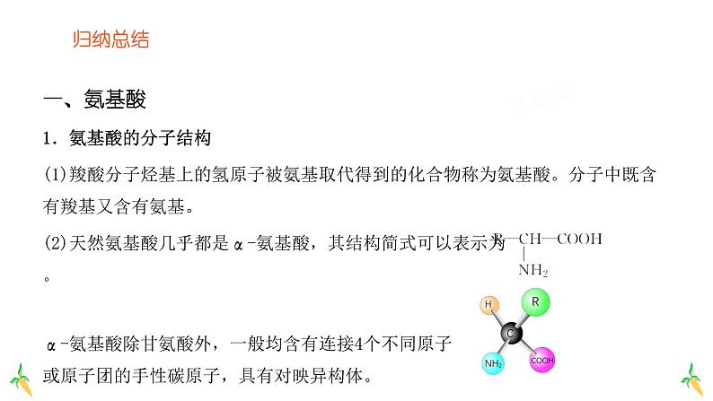 高中化学选修三有机化学基础课件（人教版）4.2 蛋白质07