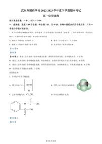 湖北武汉外国语学校2022-2023学年高一下学期期末考试化学试题（解析版）