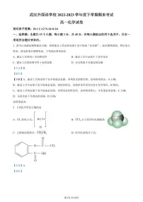 湖北武汉外国语学校2022-2023学年高一下学期期末考试化学试题(解析版)