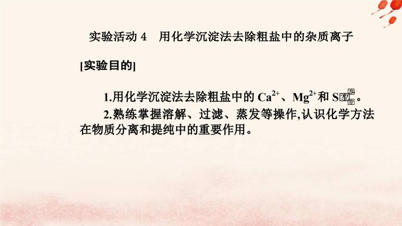 新教材2023高中化学第五章化工生产中的重要非金属元素实验活动4用化学沉淀法去除粗盐中的杂质离子课件新人教版必修第二册02