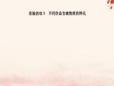 新教材2023高中化学第五章化工生产中的重要非金属元素实验活动5不同价态含硫物质的转化课件新人教版必修第二册