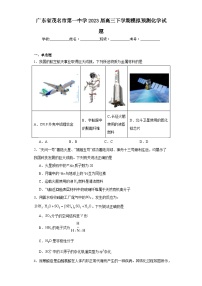 广东省茂名市第一中学2023届高三下学期模拟预测化学试题（含解析）