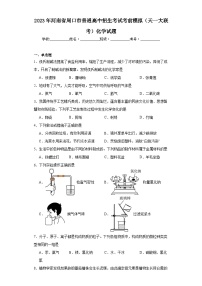 2023年河南省周口市普通高中招生考试考前模拟（天一大联考）化学试题（含解析）