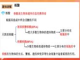 人教版选择性必修3化学4.3《核酸》课件